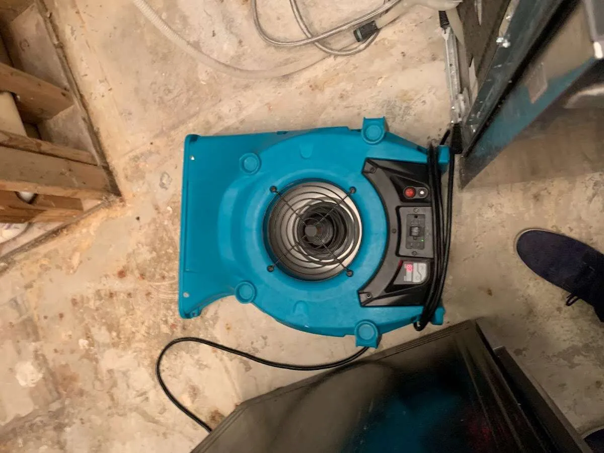 Air mover drying equipment for Mold Remediation & Removal in Winchester